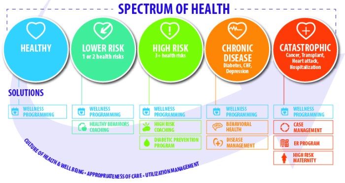Spectrum of Health Delivers Comprehensive Insights to Health Programs ...